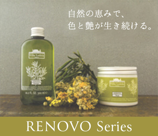 RENOVO　Series